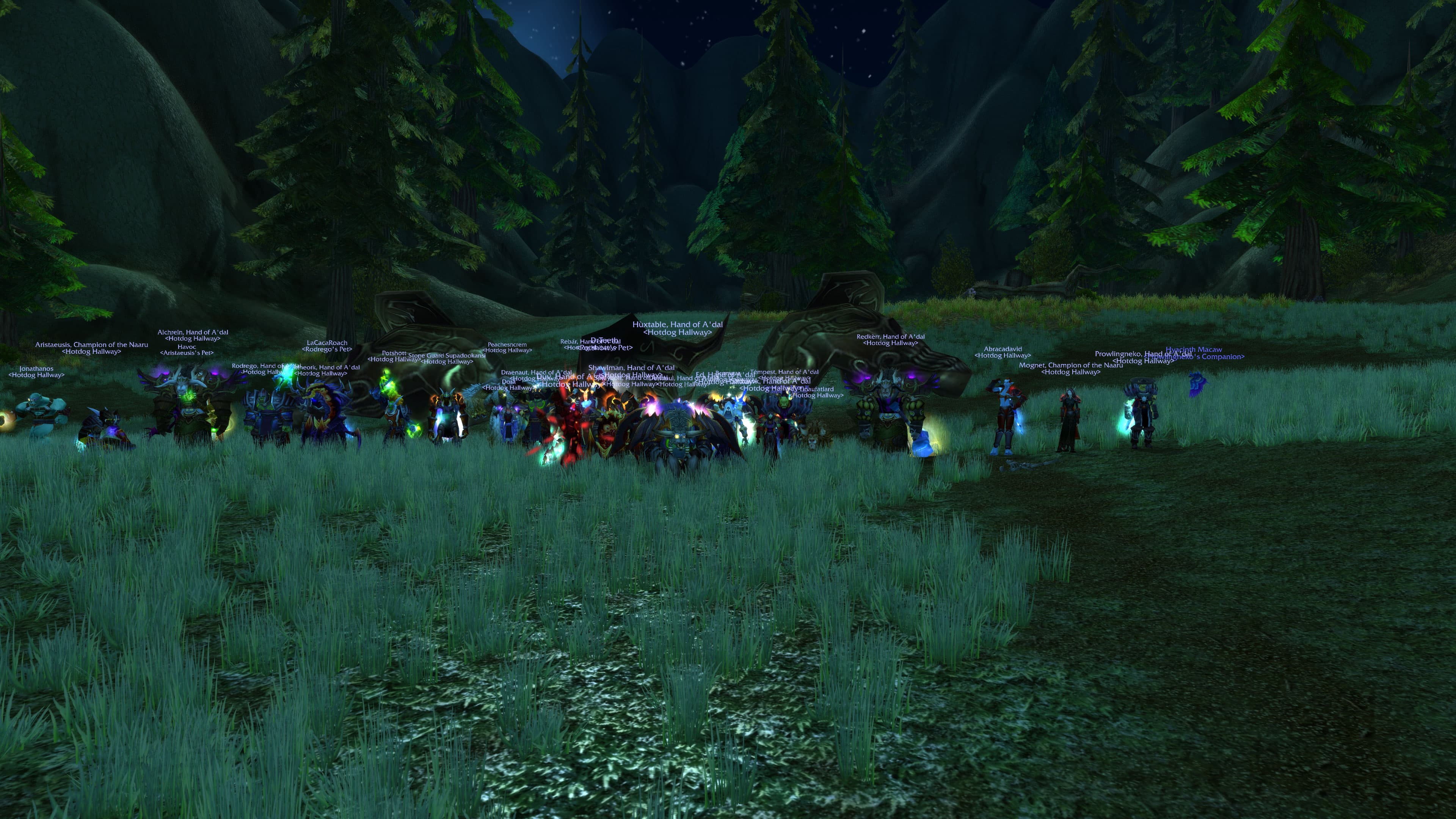 Guild Photo